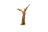 Décoration racine de teck Sepa 188 cm
