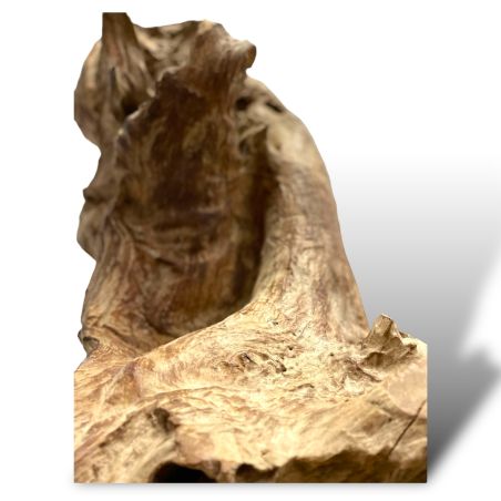 Décoration racine de teck Sepa 188 cm