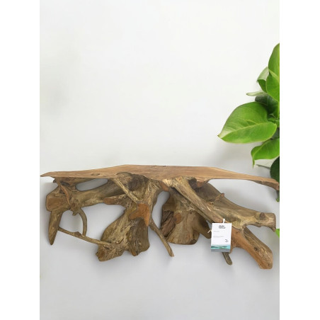 Meuble TV en Racine de Teck  120 cm Pandawa