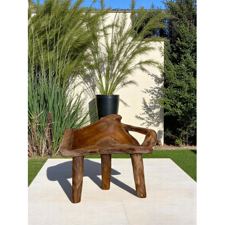Banc Sculpté en Bois de Teck Massif – Pièce Unique Artisanale