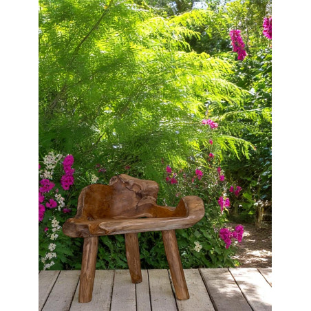 Banc Sculpté en Bois de Teck Massif – Pièce Unique Artisanale