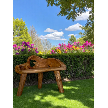 Banc Sculpté en Bois de Teck Massif – Pièce Unique Artisanale