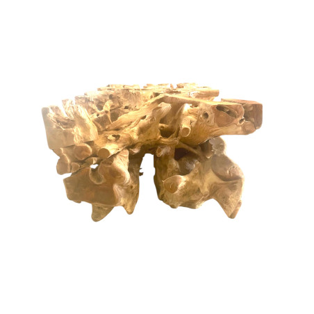 Table Basse Rectangulaire Racine de Teck - KohDeco