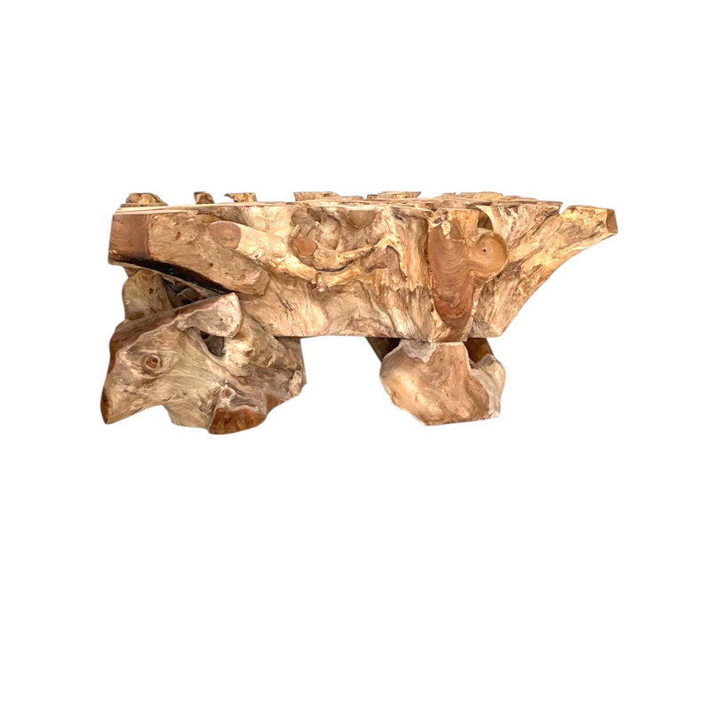 Table Basse Rectangulaire Racine de Teck - KohDeco