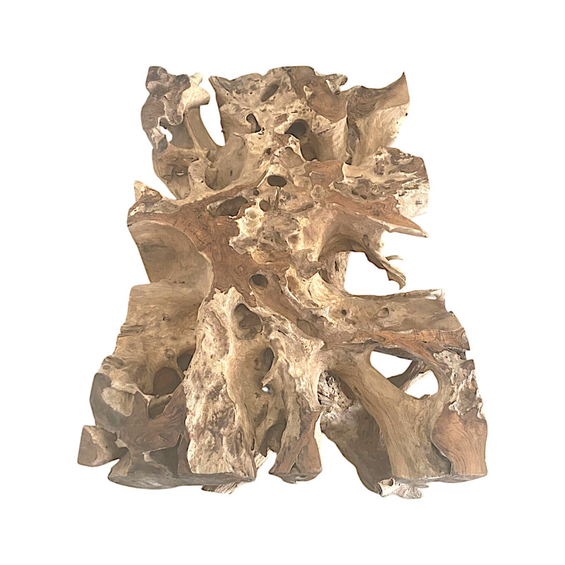 Table basse rectangulaire Racine de teck