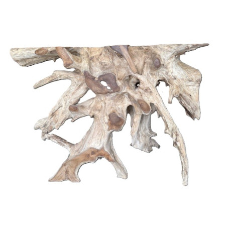 Console en Racine de Teck 120 cm