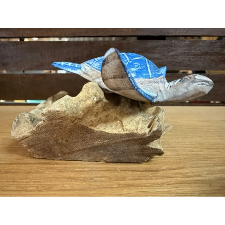 Tortue en Bois d'Albizia sur Socle en Bois Flotté – Bleu clair - 12 cm