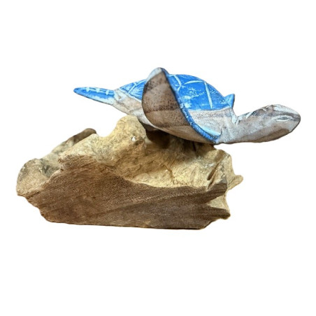 Tortue en Bois d'Albizia sur Socle en Bois Flotté – Bleu clair - 12 cm