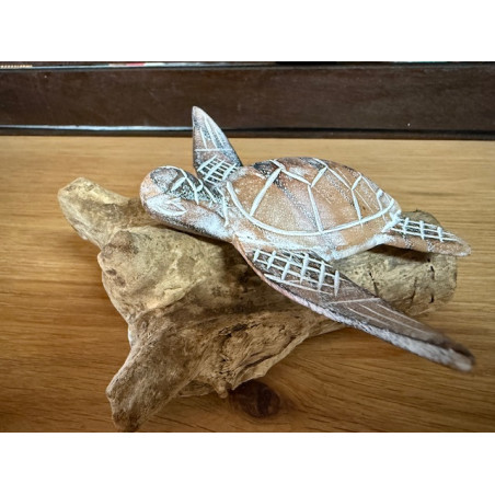 Tortue en Bois d'Albizia sur Socle en Bois Flotté – Blanc Lavé - 12 cm