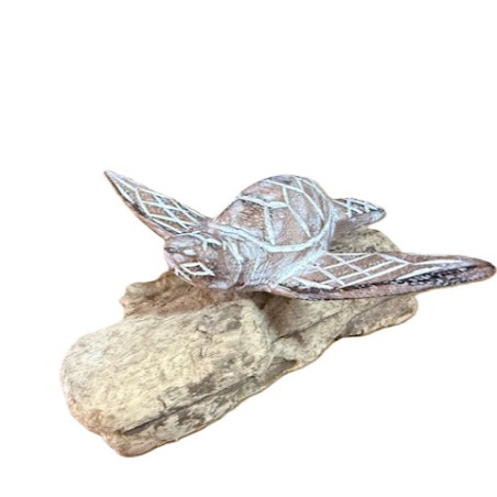 Tortue en Bois d'Albizia sur Socle en Bois Flotté – Blanc Lavé - 8 cm