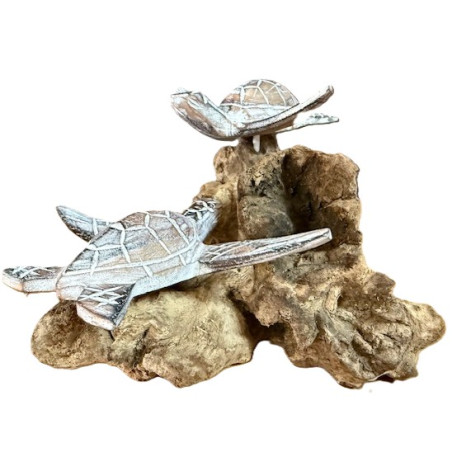 Duo Tortue en Bois d'Albizia sur Socle en Bois Flotté – Blanc Lavé