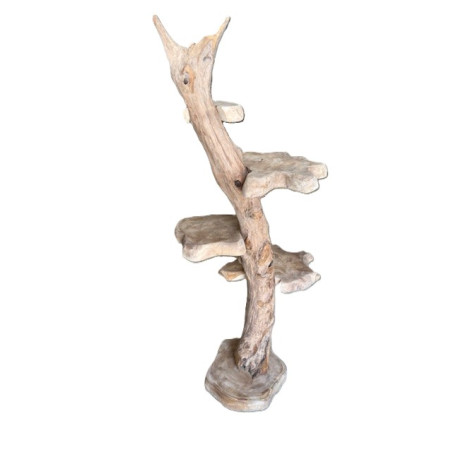 Porte plantes en racine de Teck 163 cm
