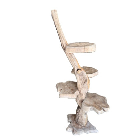 Porte plantes en racine de Teck 170 cm
