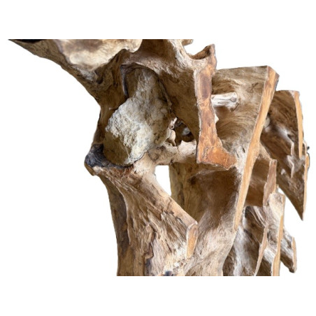 Console Trala en Racine de Teck 180 cm